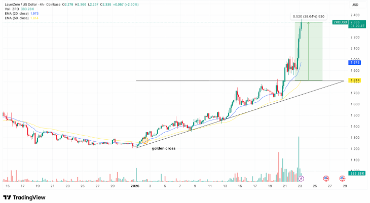  لماذا ترتفع $ZRO بينما السوق العام في حالة هدوء؟