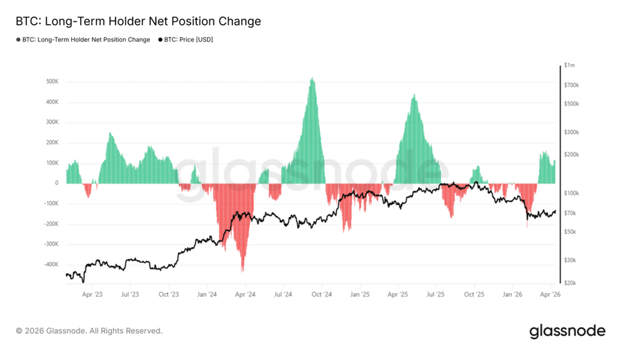عودة حاملي Bitcoin طويلي الأجل إلى التراكم تشير إلى تعافي السوق