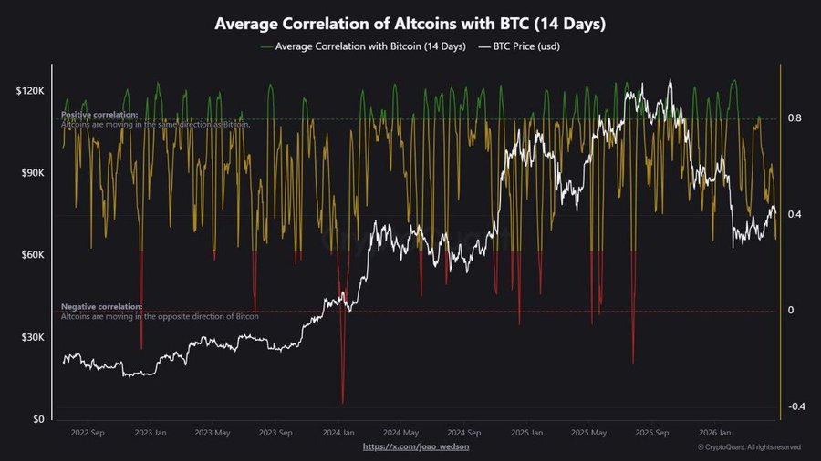 Altcoins Decouple from Bitcoin as Market Turns More Selective