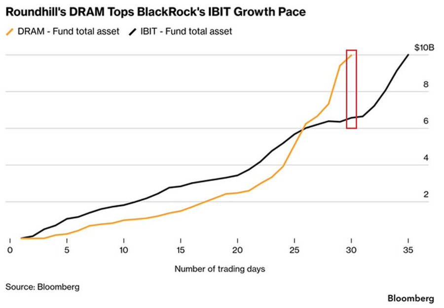 ETF الرقائق DRAM يسجل أسرع نمو بتاريخ الصناديق المتداولة