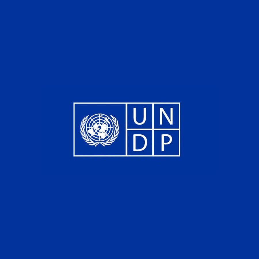 UNDP Launches Blockchain Advisory Group with Leading Crypto Networks