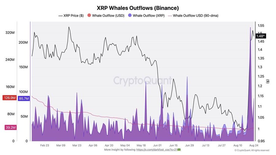  "حيتان XRP يسحبون 231 مليون عملة من بينانس.. أعلى مستوى في 6 أشهر"