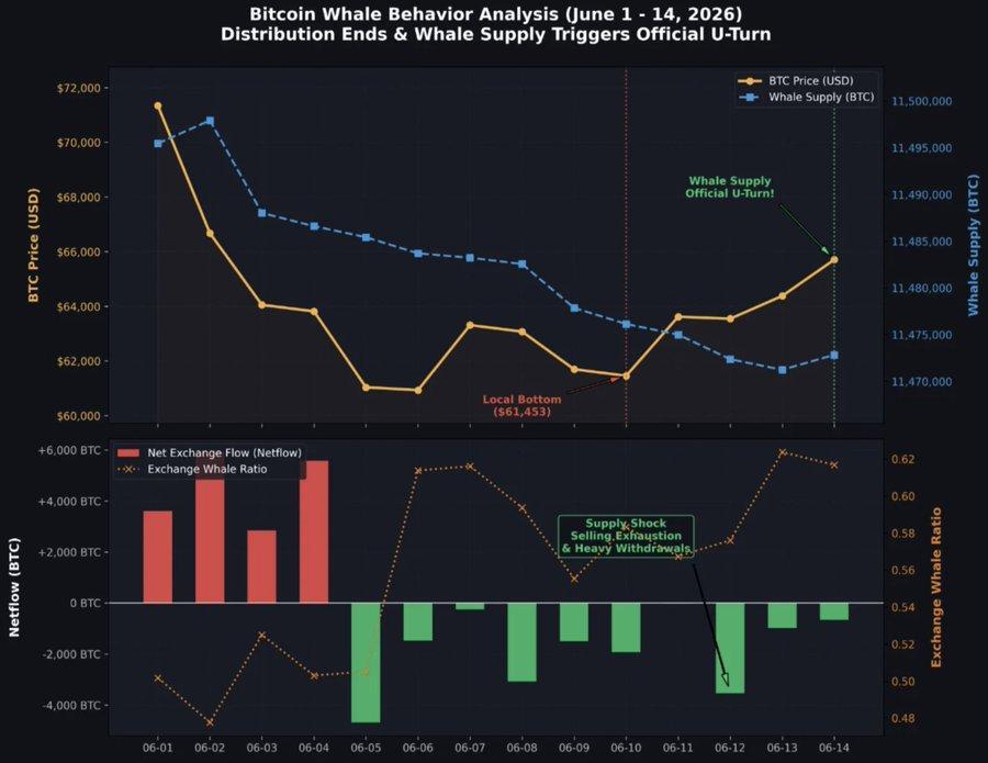 Bitcoin Whales Reverse Course: Is the Selling Phase Over?
