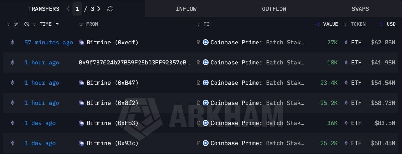 تدفقات مؤسسية ضخمة تدعم الإيثيريوم: Bitmine تضخ 218 مليون دولار في Staking